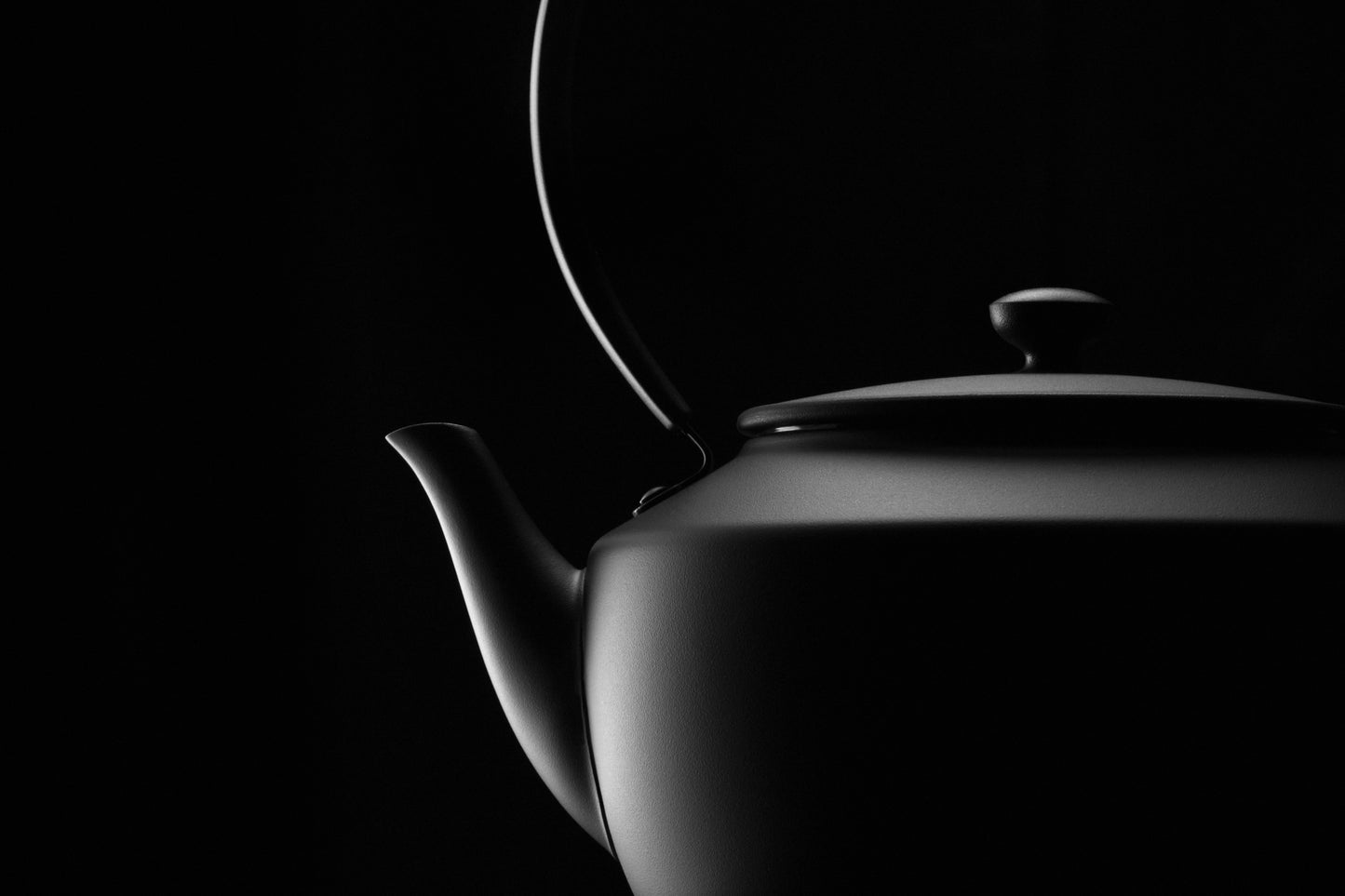 Moonkettle Electric Kettle with Temp Control 122°F - 212°F