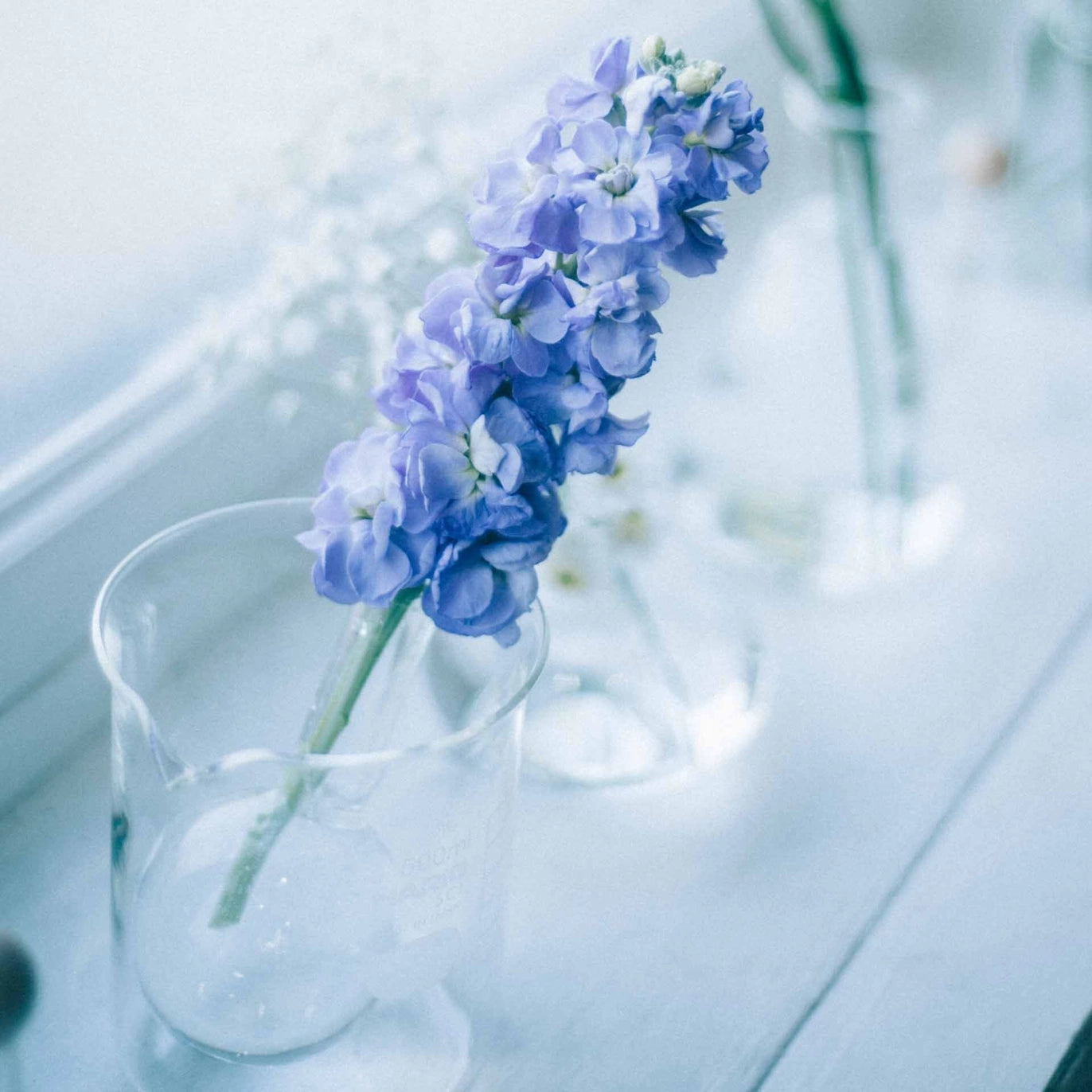 Beaker Vase