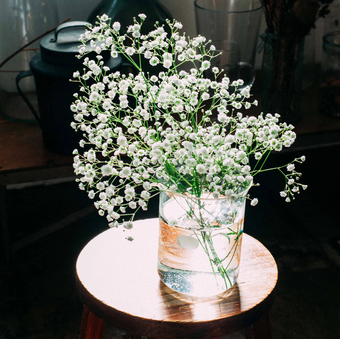 Beaker Vase