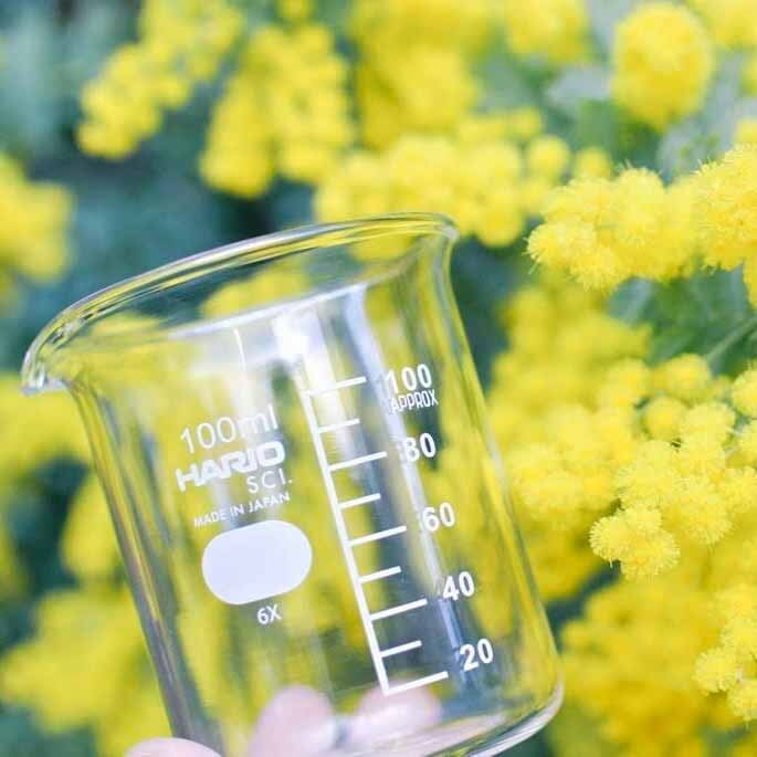 Beaker Vase