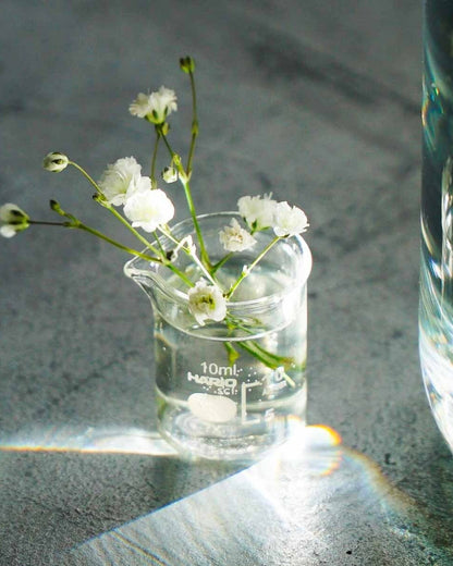 Beaker Vase